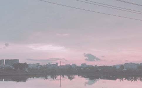 家鄉的魚塘作文(精選15篇)