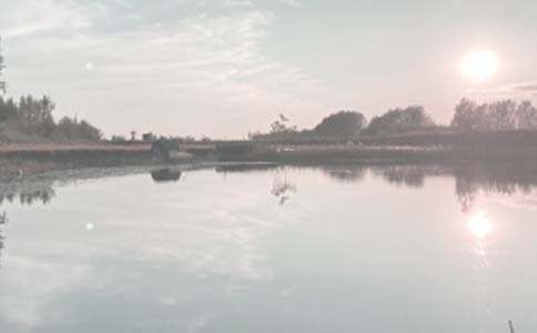 ���l���~�����ģ�ͨ��34ƪ��