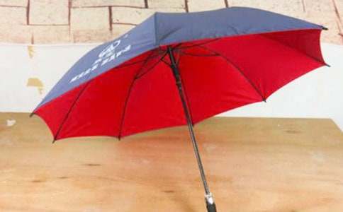 沒有雨傘的孩子必須努力奔跑作文200字