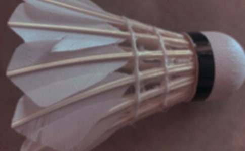 �ҵ��n���������ë�����꼉����