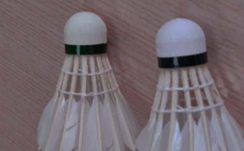 我的課余生活是打羽毛球的作文范文