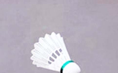 ��ë���������