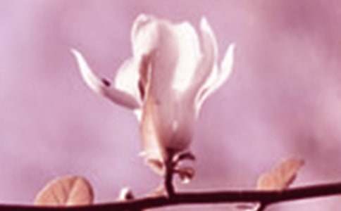 �茑���m��������200��