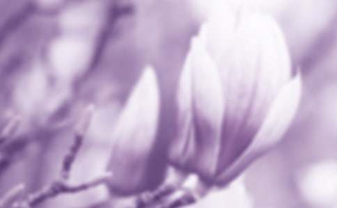 �茑���m�����ģ����x49ƪ��