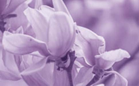 ���m������200�֣����x63ƪ��