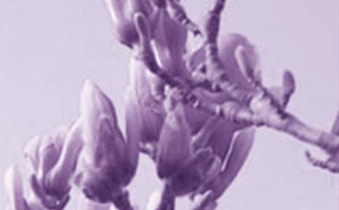 �茑���m���ă�������