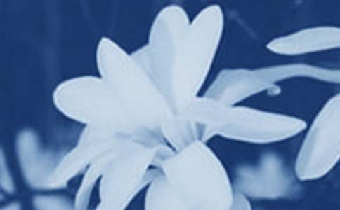 ���m���_���ąR��15ƪ