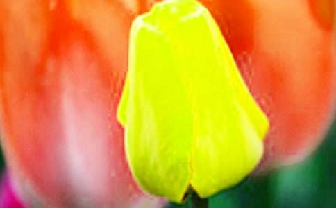 ����ϲ�g�����������