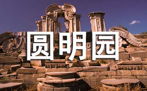 描寫植物的作文:圓明園賞荷