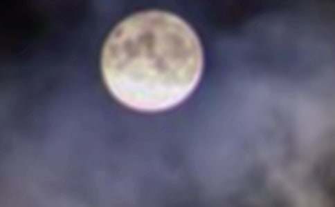 月圓人更圓作文范文(精選13篇)