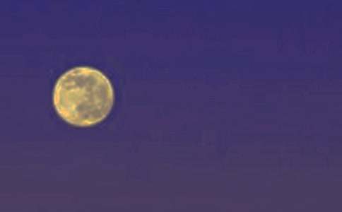 �A�˲��A����500��