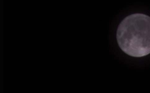 優秀作文三篇:難忘的月圓之夜