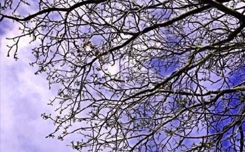 �����簲���Z�R��110�侫�x