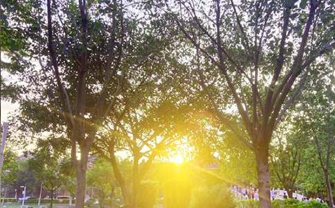 【熱門】2022年美好的早安QQ問候語集錦33條