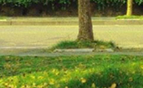 ÿ���簲�����Z730��