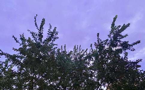 流行個性早安簽名匯總105句