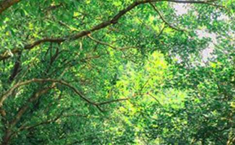 有關個性早安簽名匯總125句