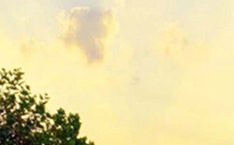 【熱門】早安共勉句子合集32條