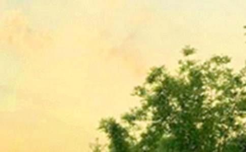 最新個性早安簽名匯總160句精選