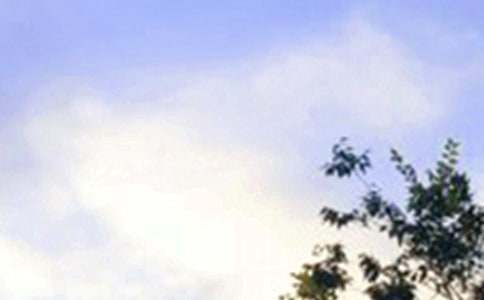 2020年簡潔的早安共勉句子QQ53句