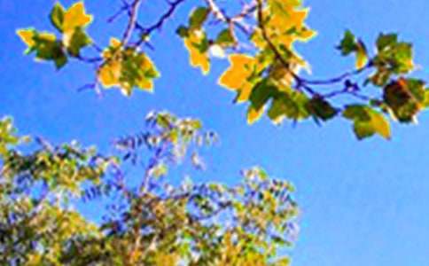 ���]�����簲������ȫ110�侫�x