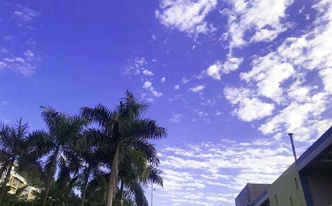 �峿���簲���Z