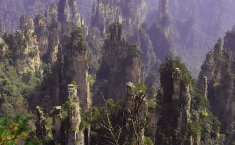 �Ώ��ҽ��������1000��