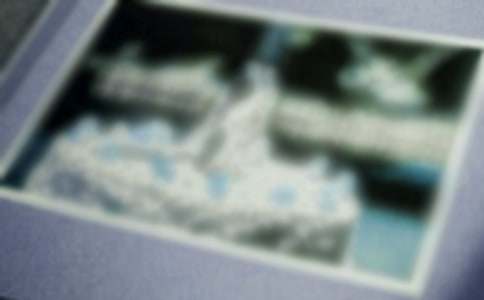 ����Ƭ����Ĺ�������