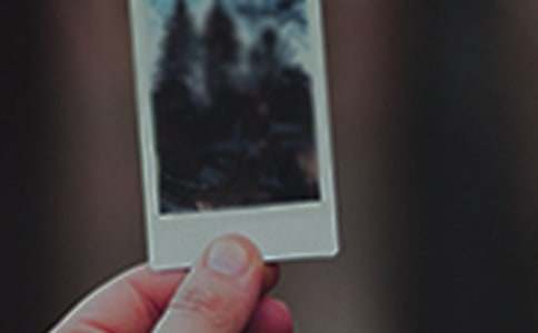 ��Ƭ��Ĺ���������