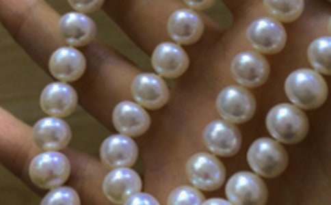 ��ʰӛ���е��������ģ����x14ƪ��