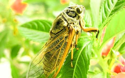 ׽֪��Ӽ������