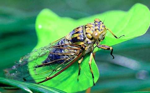 ׽֪��С�W400������