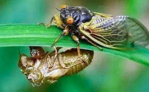 ֪������400��5ƪ