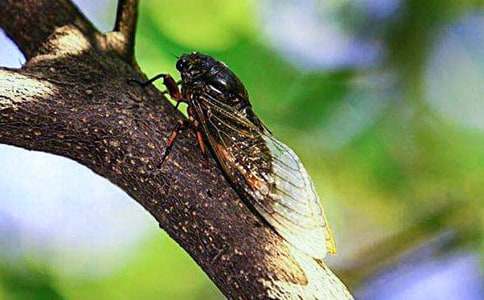 �P��֪�˵�С�W����