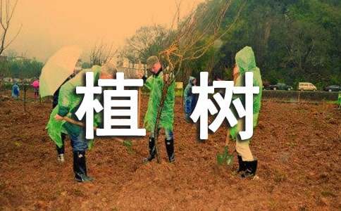 ֲ��ɢ�ġ����xƪ��