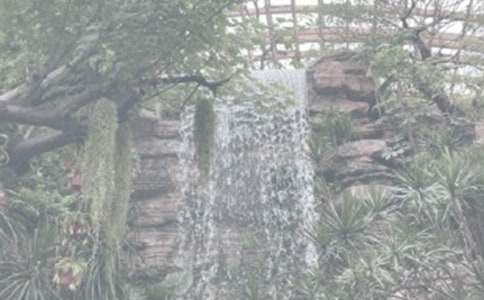 植物園游記_300字