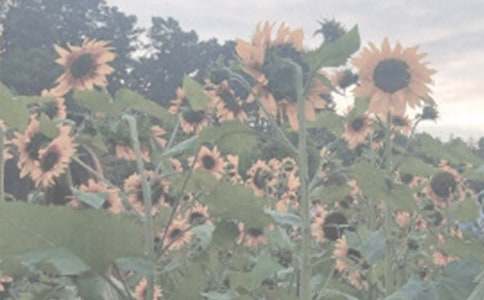 ����ֲ��@���ġ��᡿