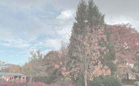 ֲ��@��ӛ����200��