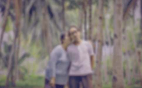 ����������ĸ�������