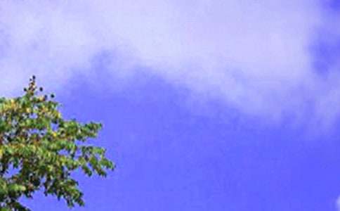 ����Ʒ����������300��3ƪ