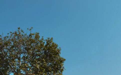 ����������С�W������