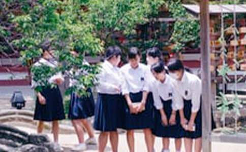 �P�ڽ�ͨ��ȫ���ЌW������