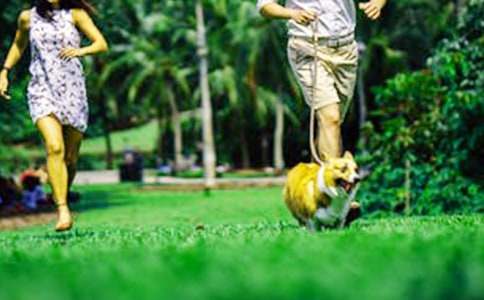 ͣ늵���ĩС�W����