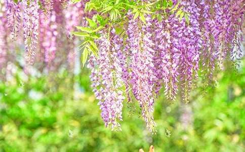 ���ٻ�����600����ƪ