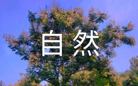 大自然的自述的作文范文