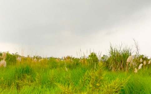 �x�����M���C�Ĵ��졷�и�600������