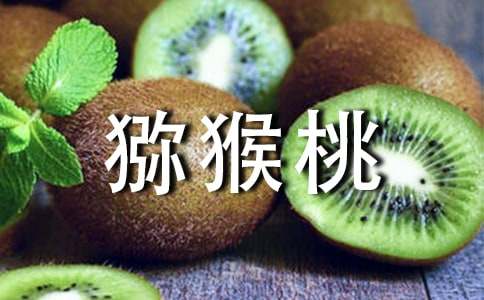 �J���ҵ�����400�֣����x16ƪ��