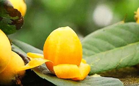 �P����������600��6ƪ