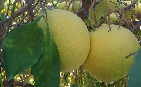 ���x��������400�ְ�ƪ