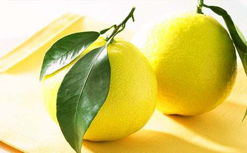 �����x���茑��������24ƪ